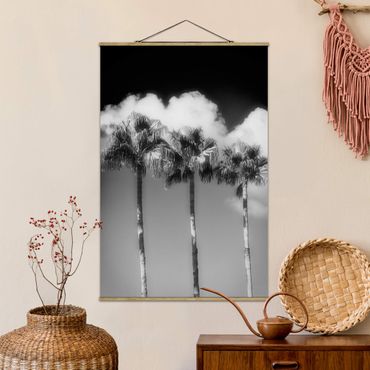 Foto su tessuto da parete con bastone - Palme contro il cielo nero e nero - Verticale 3:2