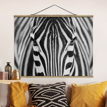 Foto su tessuto da parete con bastone - zebra sguardo - Orizzontale 3:4