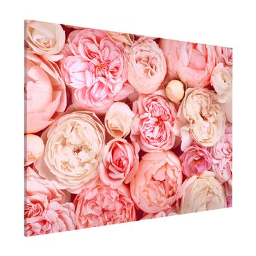 Lavagna magnetica - Rose Rose Coral Shabby - Formato orizzontale 3:4