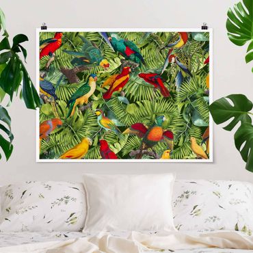 Poster - Colorato collage - Parrot In The Jungle - Orizzontale 3:4