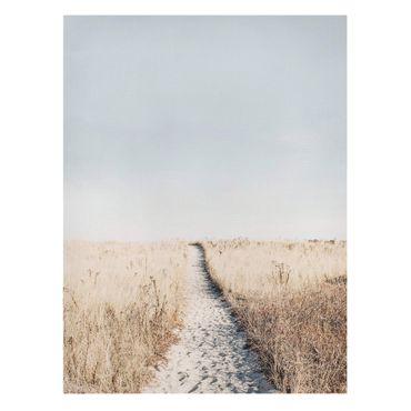 Stampa su tela - Il sentiero verso la spiaggia - Formato verticale 3:4