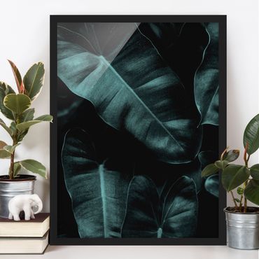 Poster con cornice - Foglie della giungla verde scuro