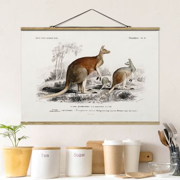 Foto su tessuto da parete con bastone - bordo Vintage Kangaroo - Orizzontale 2:3