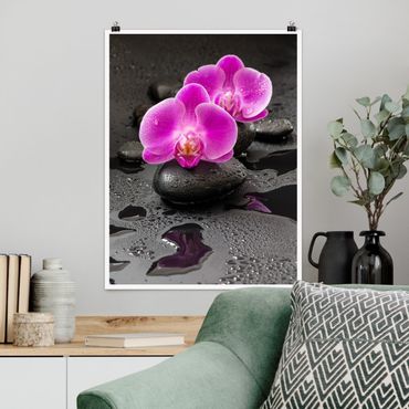 Poster - Pink Orchid Fiori Sulle Pietre Con Le Gocce - Verticale 4:3