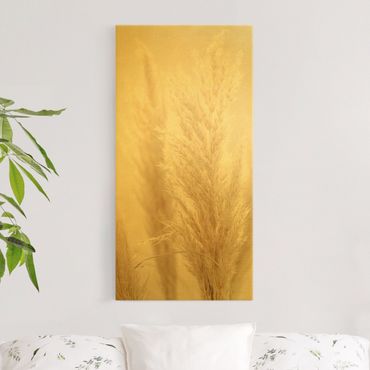 Quadro su tela oro - Erba della Pampas nella luce del sole