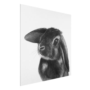 Stampa su Forex - Illustrazione Coniglio bianco e nero Disegno - Quadrato 1:1