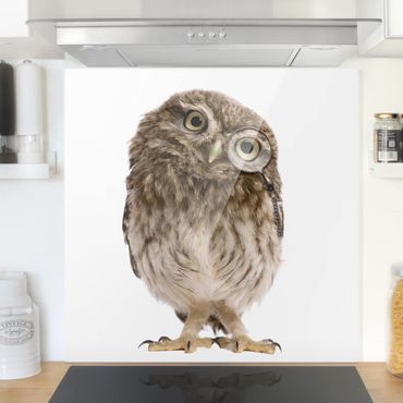 Paraschizzi in vetro - Curious Owl