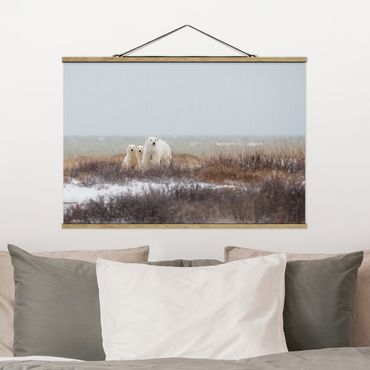 Foto su tessuto da parete con bastone - Orso polare e suoi cuccioli - Orizzontale 2:3