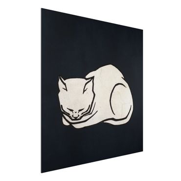 Aluminium Print - Schlafende Katze Illustration - Quadrat 1:1