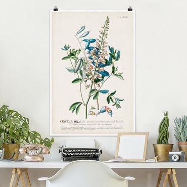 Poster - Vintage botanico Legumi Illustrazione - Verticale 3:2