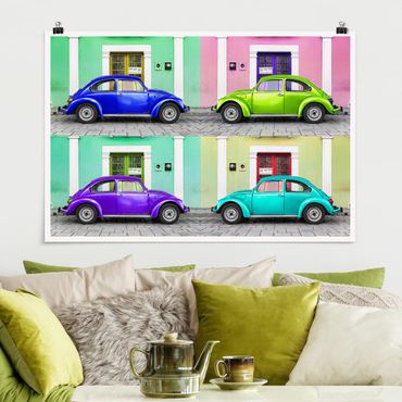 Poster - Colored Beetles - Orizzontale 2:3