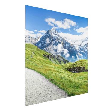 Stampa su alluminio - Panorama di Grindelwald