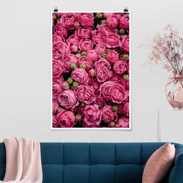 Poster - Peonie rosa - Verticale 3:2