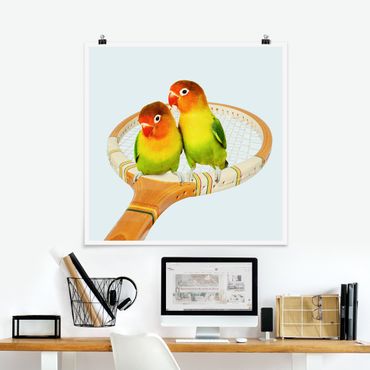 Poster - Tennis Con Uccelli - Quadrato 1:1