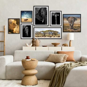 Gallerie a parete - Un safari in Africa