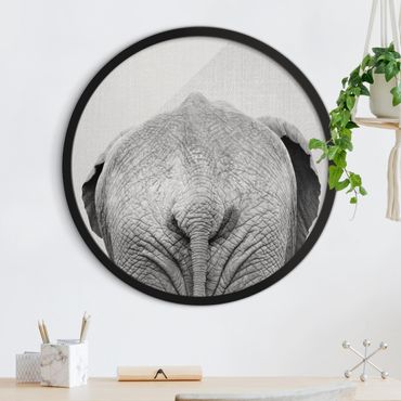 Quadro rotondo incorniciato - Elefante da dietro Bianco Nero