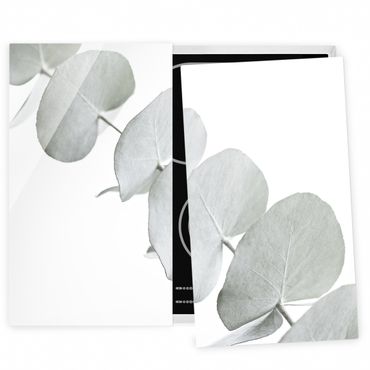 Coprifornelli - Ramo di eucalipto nella luce bianca