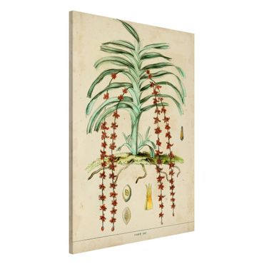 Lavagna magnetica - Consiglio Vintage Exotic Palms IV - Formato verticale 2:3