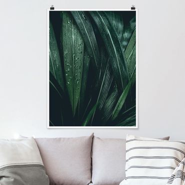 Poster - Verdi foglie di palma - Verticale 4:3