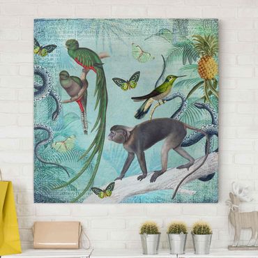 Stampa su tela - Coloniale Collage - Scimmie e uccelli del paradiso - Quadrato 1:1