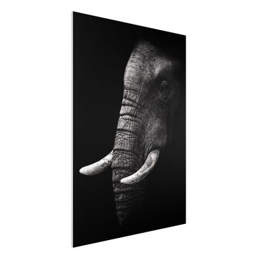Quadro in forex - Scuro Elephant Portrait - Verticale 3:4