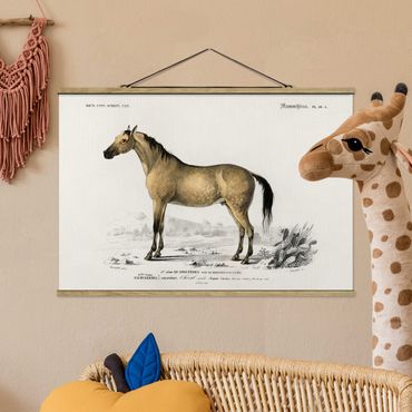 Foto su tessuto da parete con bastone - Consiglio di cavallo Vintage - Orizzontale 2:3