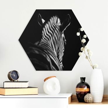 Esagono in forex - Scuro Zebra silhouette