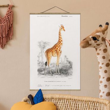 Foto su tessuto da parete con bastone - Vintage Consiglio Giraffe - Verticale 3:2