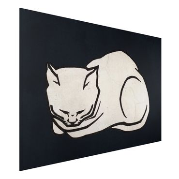Aluminium Print - Schlafende Katze Illustration - Querformat 2:3