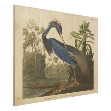 Stampa su legno - bordo Vintage Louisiana Heron - Orizzontale 3:4