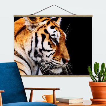 Foto su tessuto da parete con bastone - Tiger bellezza - Orizzontale 3:4