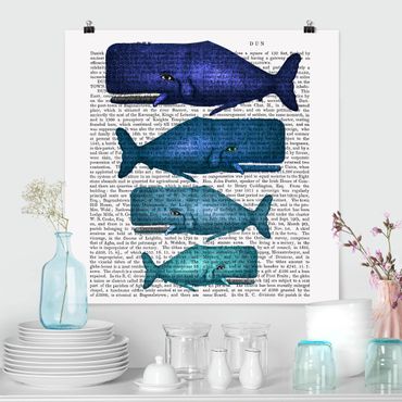 Poster - Lettura di animali - Whale Famiglia - Quadrato 1:1