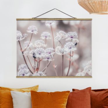 Foto su tessuto da parete con bastone - Leggeri fiori selvatici - Orizzontale 4:3