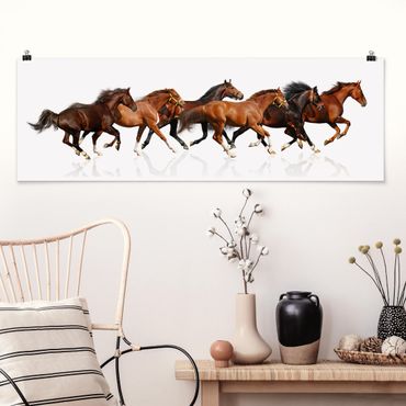 Poster - Horse Herd - Panorama formato orizzontale