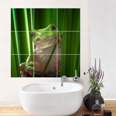 Adesivo per piastrelle - Merry Frog - Quadrato