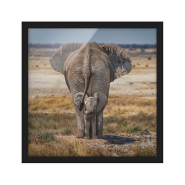 Poster con cornice - Elefante impertinente