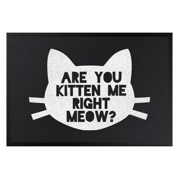 Zerbino - Are You Kitten Me