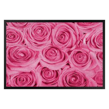 Zerbino - Bed of pink roses
