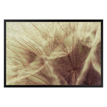 Zerbino - Detailed dandelion macro shot with vintage blur effect