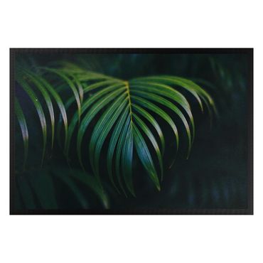 Zerbino - Dark palm leaves