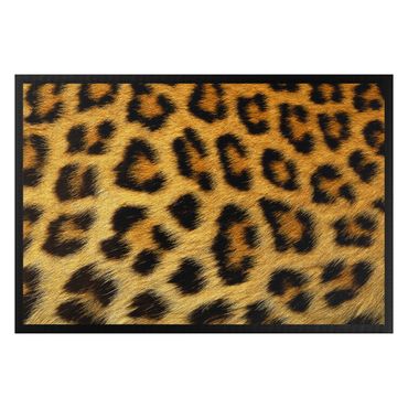 Zerbino - Leopard skin