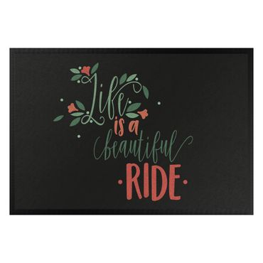 Zerbino - Life is a beautiful ride