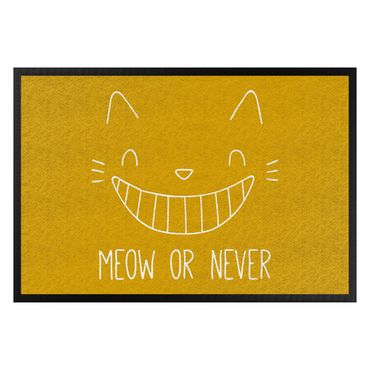 Zerbino - Meow Or Never
