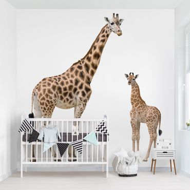 Carta da parati - Giraffe Mother and Baby