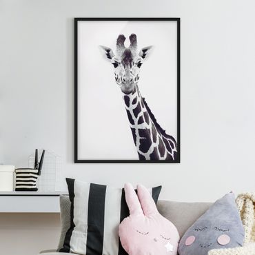 Poster con cornice - Ritratto di giraffa in bianco e nero