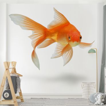 Carta da parati - Goldfish Is Watching You
