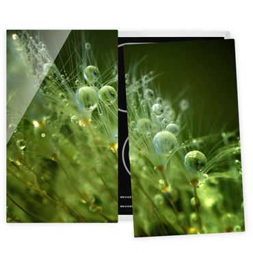 Coprifornelli in vetro - Semi verdi Sotto La Pioggia