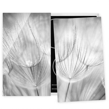 Coprifornelli in vetro - Dandelions Macro Shot In Black And White