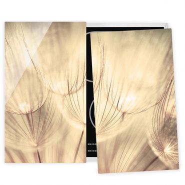 Coprifornelli in vetro - Dandelions Close-Up In Sepia Tones Homely