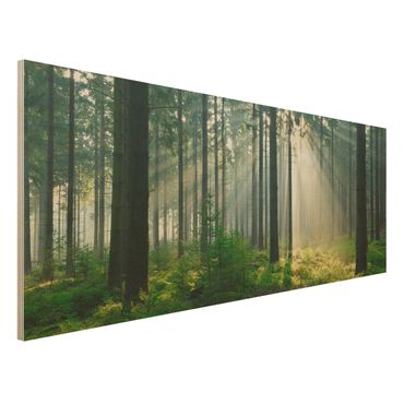 Quadro in legno - Enlightened Forest - Panoramico